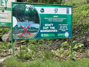 ERVCCS Project Intensifies Environmental Awareness Across Liberia’s Nine Coastal Counties